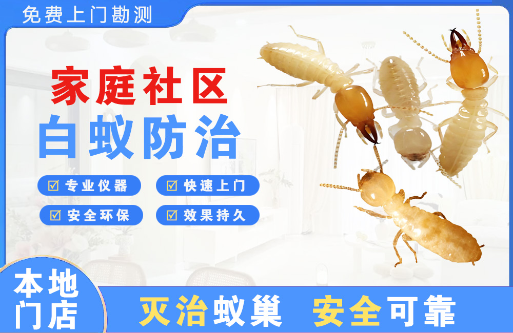 五指山家庭社区白蚁防治