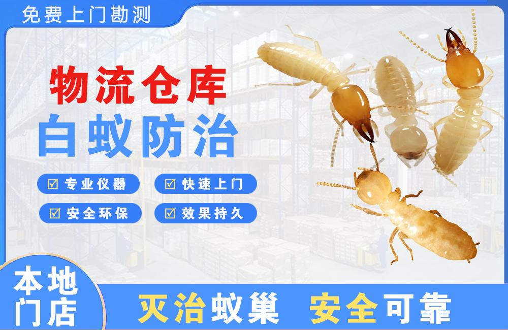 五指山物流仓库白蚁防治