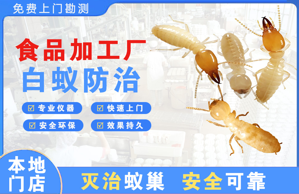 五指山食品加工厂白蚁防治