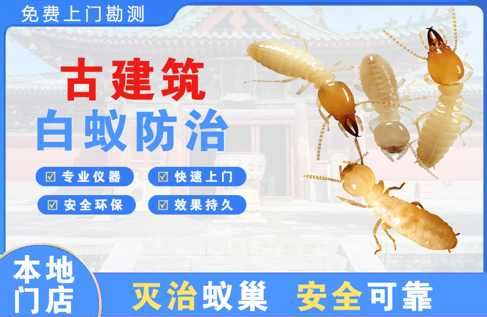 五指山古建筑白蚁防治