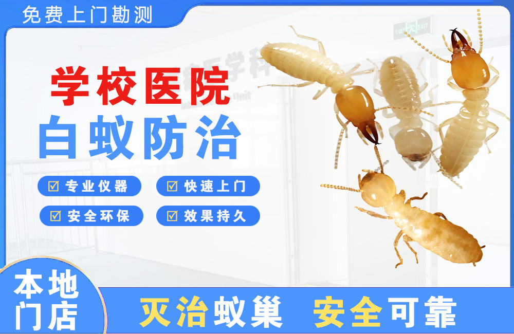五指山学校医院白蚁防治