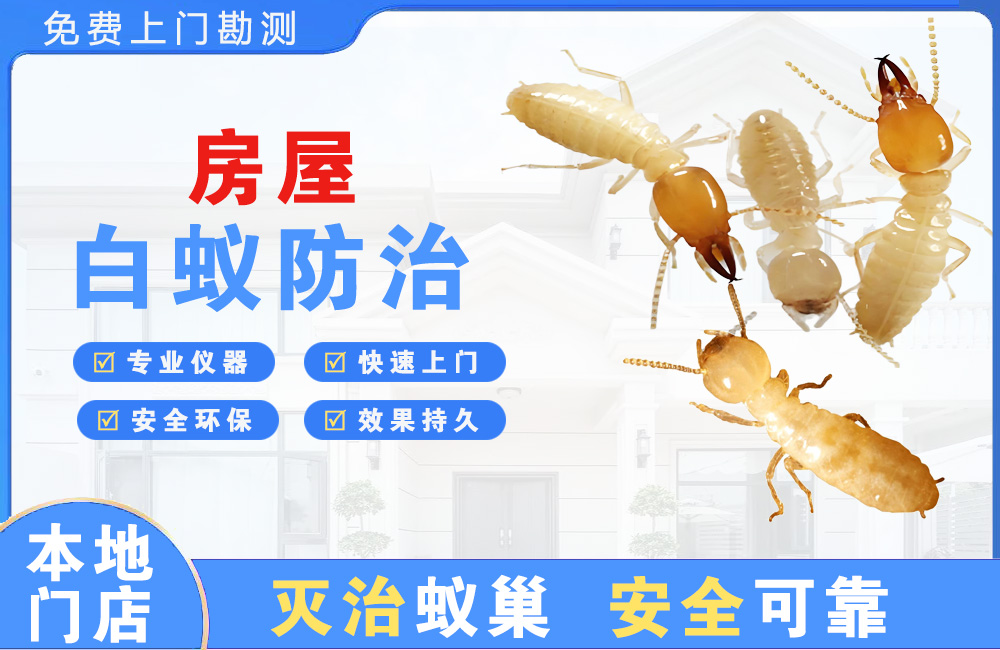 五指山房屋白蚁防治