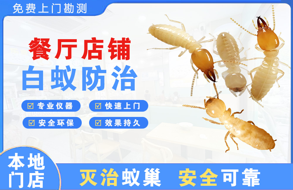 五指山餐厅店铺白蚁防治